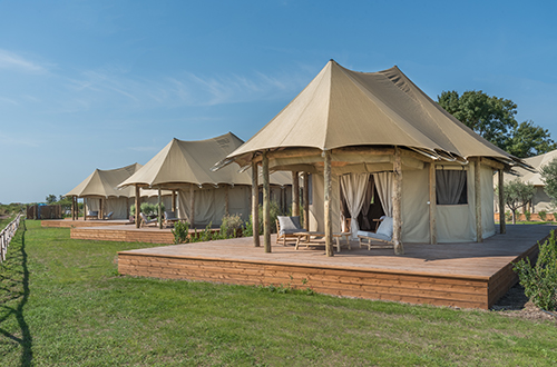 Unique Glamping Tents